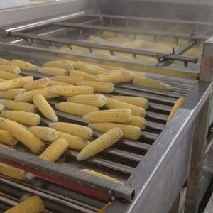 清洗、巴氏殺菌案例